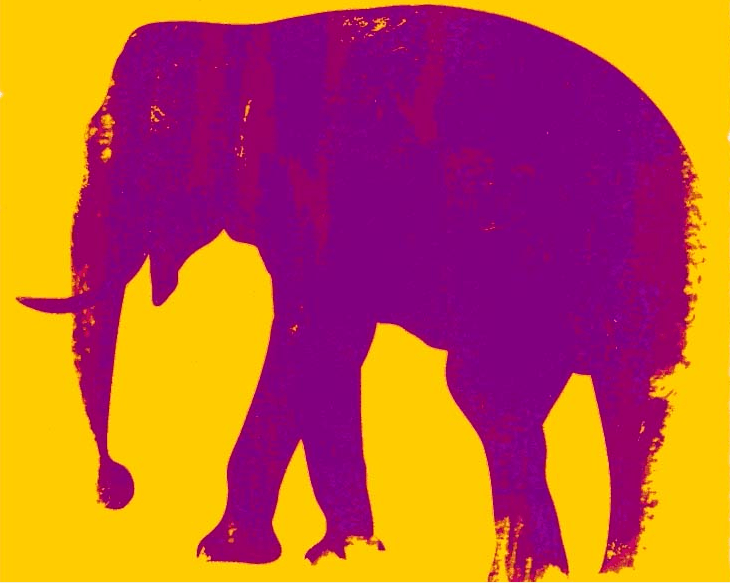 El viaje del elefante