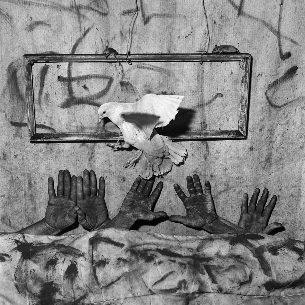 Roger Ballen: El lado Oscuro de la Imagen.