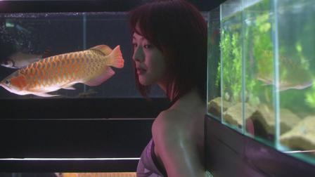 Coldfish de Sion Sono