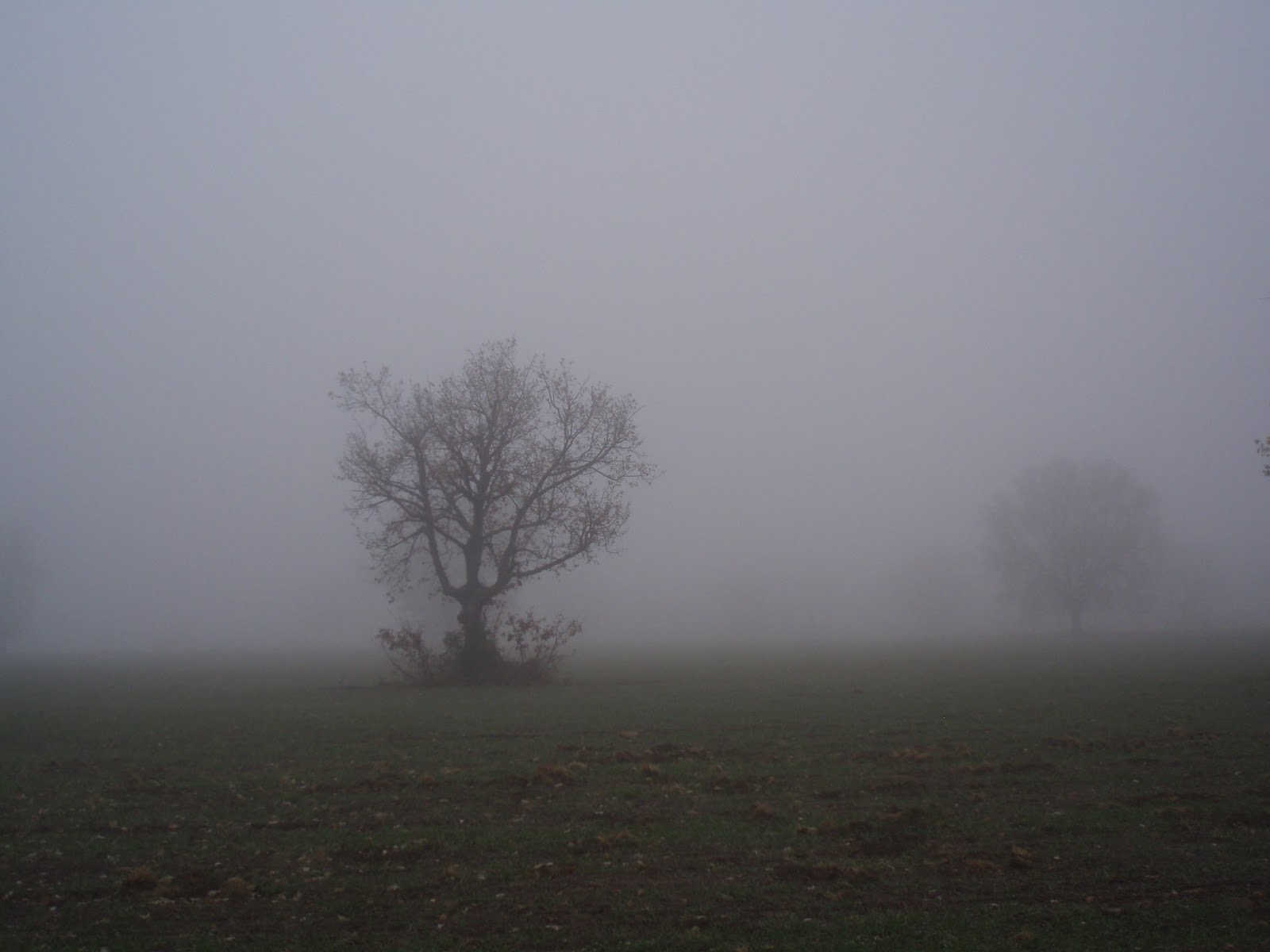 «Instrucciones para buscar en la niebla» de Mónica Suárez